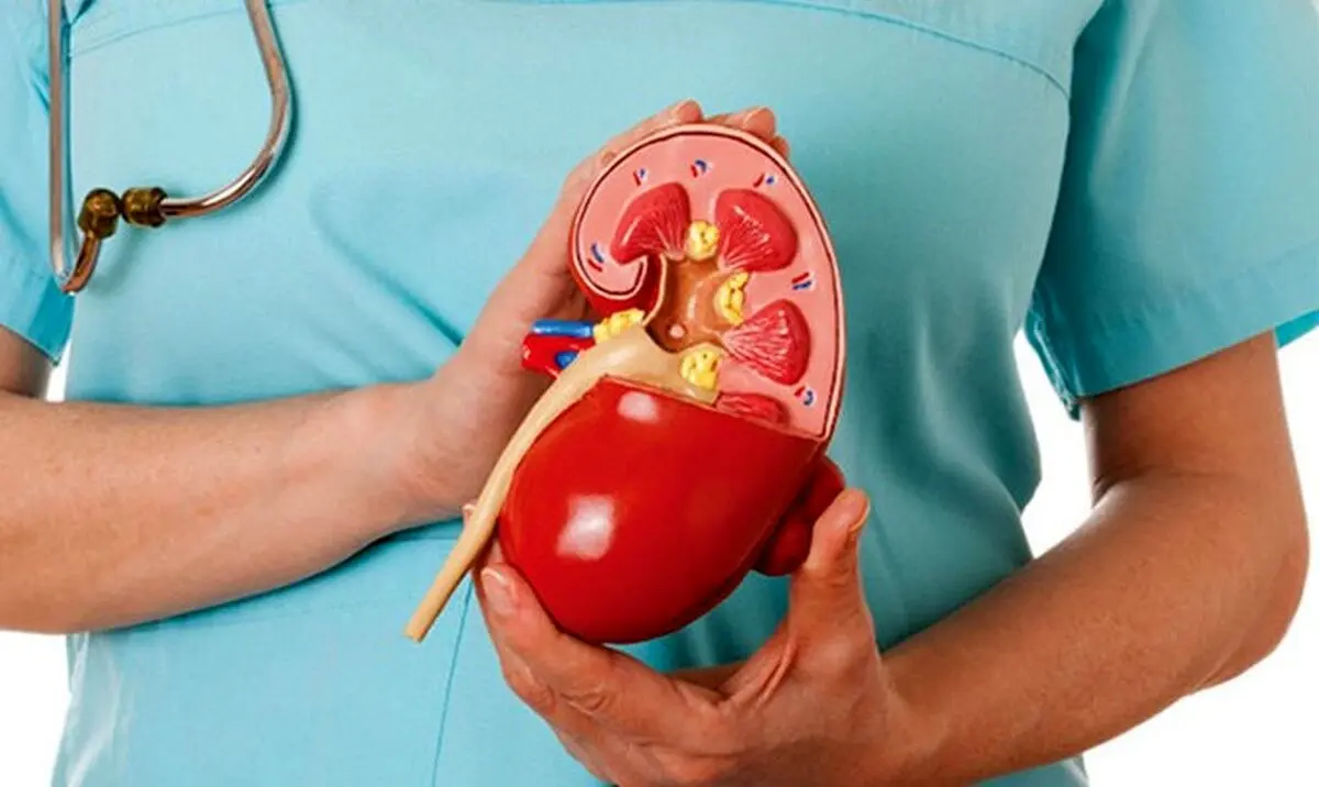  اگر این نشانه ها را دارید کلیه شما در خطر است 