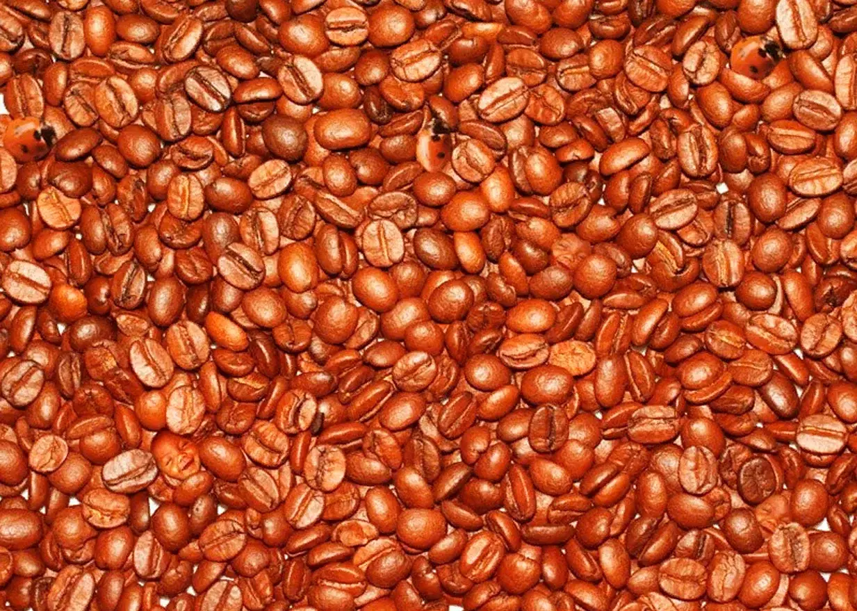 تست هوش | اگه زیر 5 ثانیه کفشدوزک و پیدا کنی آلزایمر نمیگیری