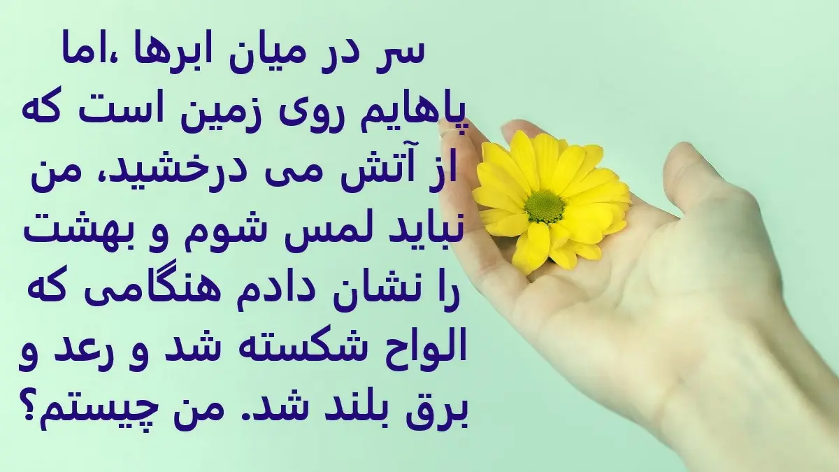 چیستان روز | سر در میان ابرها ،اما پاهایم روی زمین است؟

