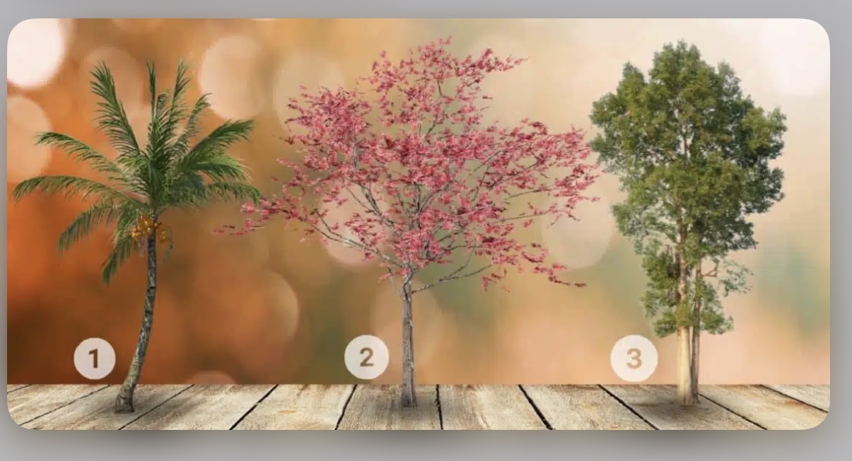 تست شخصیت شناسی: کدام یک از این سه درخت را دوست دارید؟ بفهمید درونگراتر هستید یا برونگراتر!