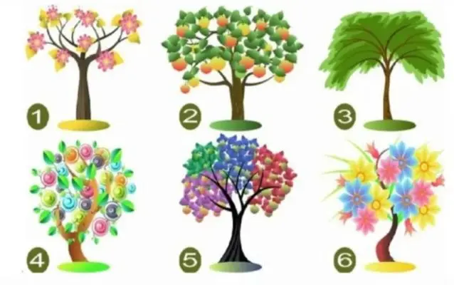 تست شخصیت شناسی : درخت مورد علاقت و انتخاب کن و بفهمید چقدر خونسر هستید!