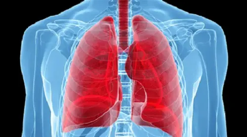  اگر می خواهید ریه هایتان 120 سال عین ساعت کار کند بخوانید 