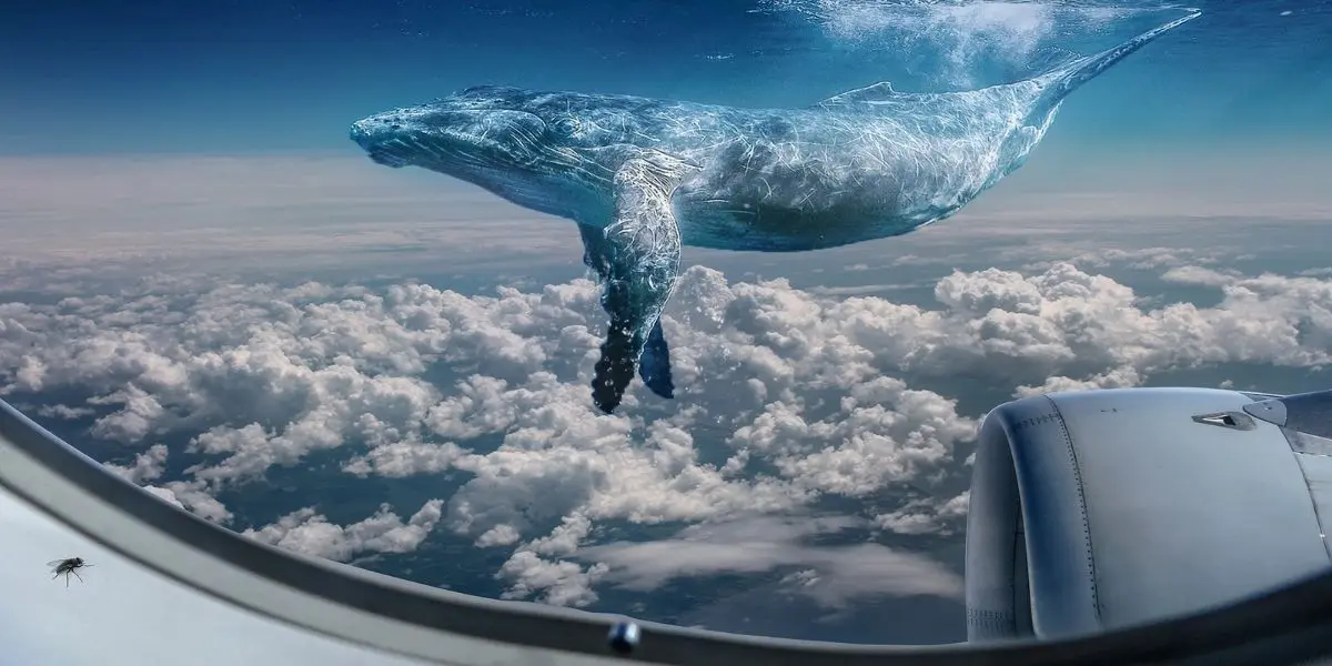 تست شخصیت شناسی | حاضری چیو از دست بدی ولی تا آخر عمرت یه زندگی شاد داشته باشی؟