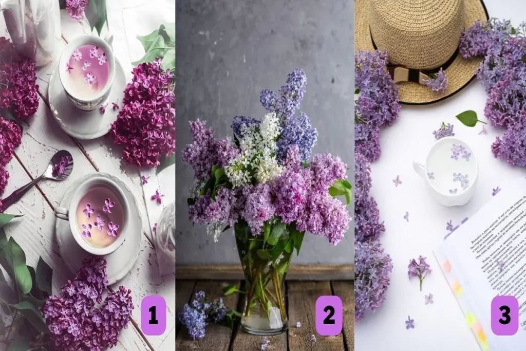 تست شخصیت شناسی: با انتخاب یک تصویر بفهمید بفهمید چه چیزی شما را ضعیف می کند!