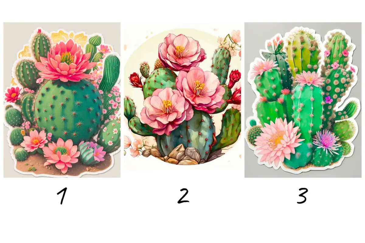 تست شخصیت شناسی | یک کاکتوس انتخاب کن تا بگم ناخواسته کدوم رفتارت بقیه رو اذیت میکنه