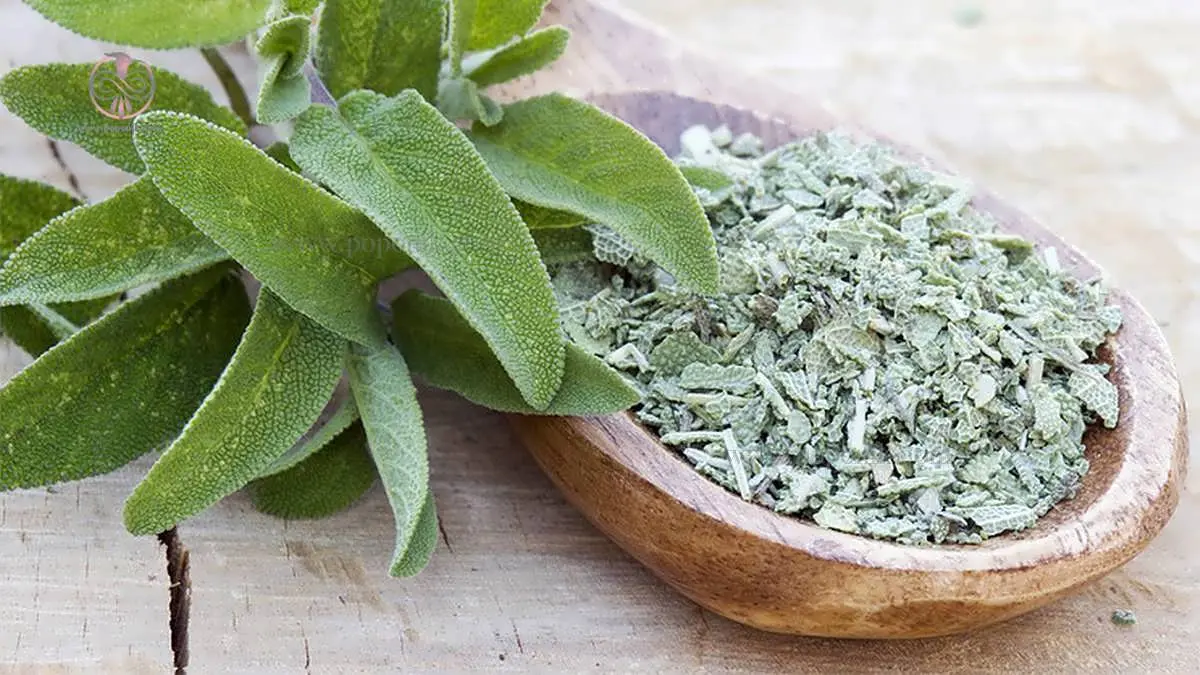 دم کرده این گیاهی برای دورکردن افکار منفی و تقویت حافظه عالی عمل می کند