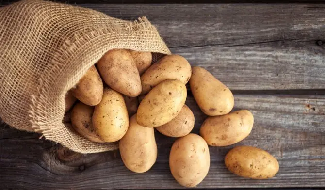 اینجا تنها مکان برای نگهداری سیب زمینی برای طولانی مدت است!