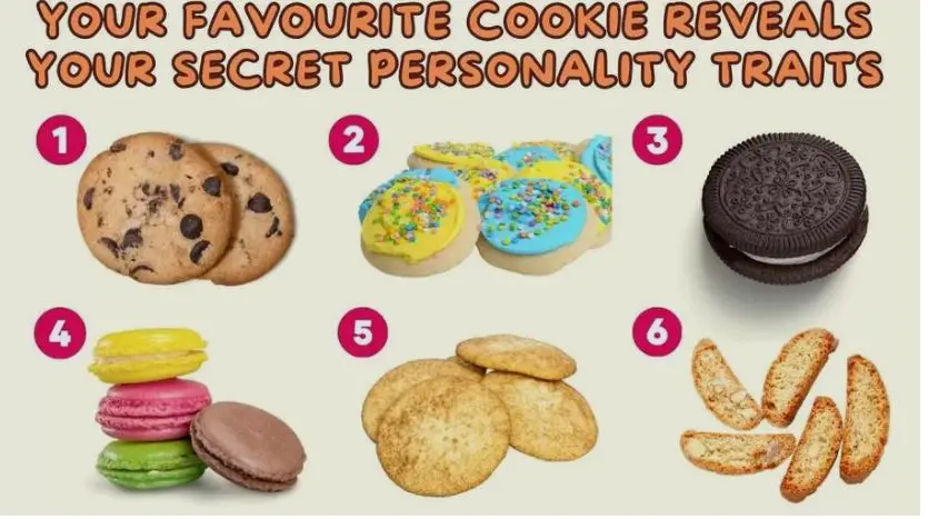 تست شخصیت شناسی | یک کوکی انتخاب کن تا بگم چقدر آدم عجیب غریبی هستی
