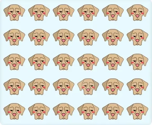 بازی فکری: افراد معمولی هرگز نمی توانند سگ متفاوت را در ۶ ثانیه پیدا کنند!