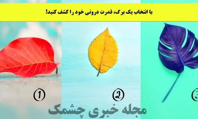 تست شخصیت شناسی | یکی از برگ هارو انتخاب کن تا نقطه قوت از نظر دیگران رو بگم