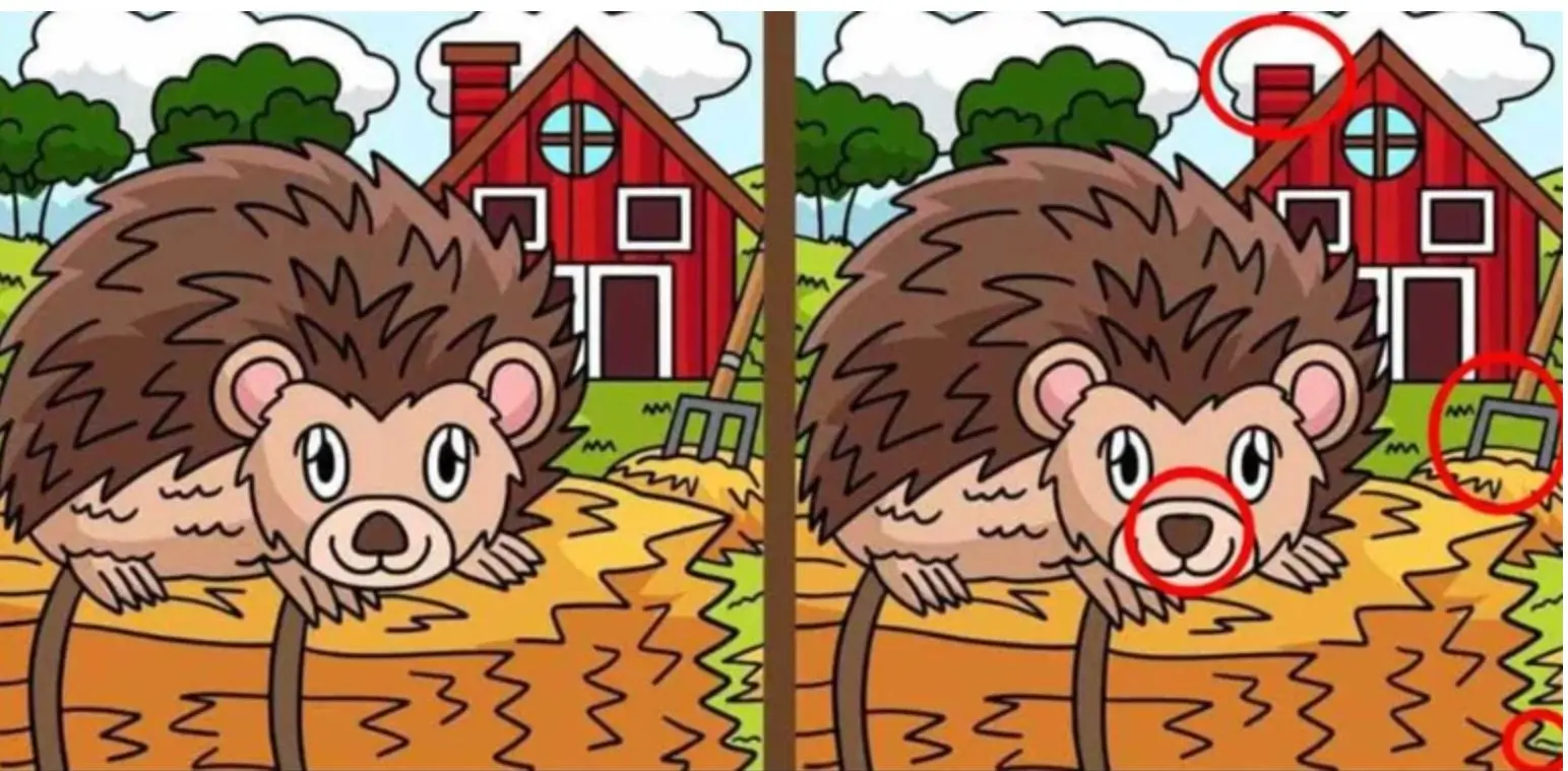 بازی فکری