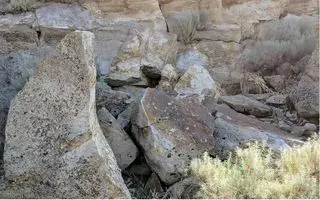 بازی فکری : اگه بتونی حیوان مخفی و تو 10 ثانیه پیدا کنی آزمون خلبانی آمریکارو قبول شد!