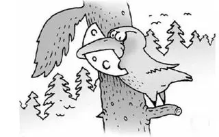 بازی فکری : اگه بتونی تو 5 ثانیه گرگ مخفی و پیدا کنی قبولیت تو هاروارد تضمینیه!