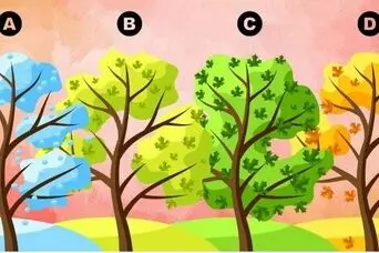 تست شخصیت شناسی: با انتخاب یک درخت بفهمید مهمترین عیب درونیتان چیست!