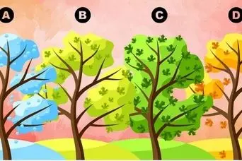 تست شخصیت شناسی: با انتخاب یک درخت بفهمید مهمترین عیب درونیتان چیست!