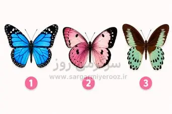تست شخصیت شناسی | پروانه محبوبت را انتخاب کن تا بگویم در قلبت چه چیزی پنهان کردی