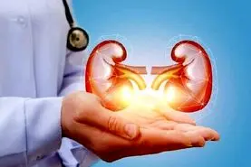 هشدار ! اگر این پنج علامت را دارید فکری به حال کلیه‌ تان بکنید

