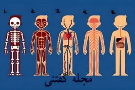 تست شخصیت شناسی | به نظر شما کجای بدن نقش حیاتی تری داره؟ جواب به این تست کمک میکنه زندگی تو تغییر بدی