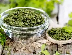 ۴ سلاح طبیعی بانوان علیه پوکی استخوان / معجون سبزیجات خشک برای استخوان‌های فولادی بانوان
