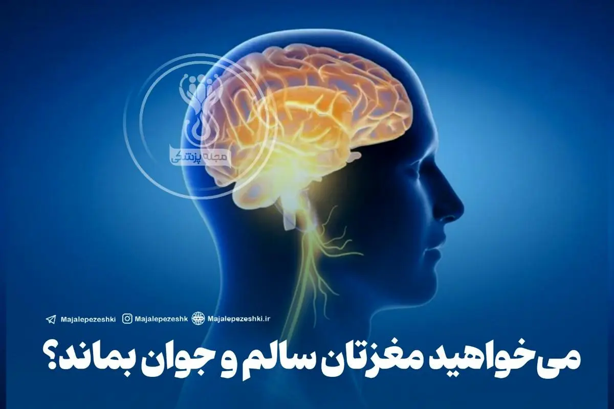 اگه میخوای مغزت همیشه سالم و جوان بمونه این خبر و از دست نده | توصیه متخصص دانشگاه واشنگتن برای جوانی مغز