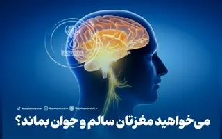  رازهای تقویت مغز با تمرینات روزانه ساده ؛ حقایقی که باید جدی بگیرید