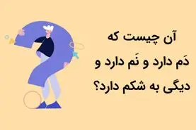 چیستان روز | آن چیست که دَم دارد و نَم دارد و دیگی به شکم دارد؟

