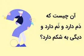 چیستان روز | آن چیست که دَم دارد و نَم دارد و دیگی به شکم دارد؟

