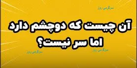 چیستان روز | آن چیست که دوچشم دارد اما سر نیست؟