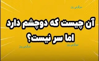 چیستان روز | آن چیست که دوچشم دارد اما سر نیست؟