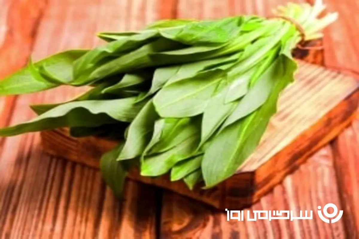 ابرغذایی که پزشکان پنهان می‌کنند | این گیاه مثل یک داروخانه طبیعی عمل می‌کند!