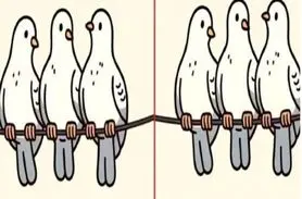 بازی فکری: 3 اشتباه تصویرو تو یه نیم نگاه بگی تا عمر داری آلزایمر نمیگیری!