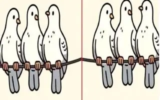 بازی فکری: 3 اشتباه تصویرو تو یه نیم نگاه بگی تا عمر داری آلزایمر نمیگیری!