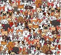 بازی فکری : حتی دامپزشکان هم نتوانستند گربه‌ را در ۵ ثانیه بین سگ‌ها پیدا کنند!