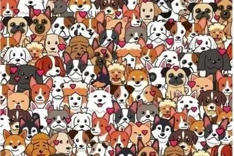 بازی فکری : حتی دامپزشکان هم نتوانستند گربه‌ را در ۵ ثانیه بین سگ‌ها پیدا کنند!