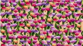 بازی فکری: اگر بینایی شما قوی است، در عرض 10 ثانیه زنگوله را پیدا کنید