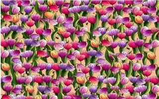 بازی فکری: اگر بینایی شما قوی است، در عرض 10 ثانیه زنگوله را پیدا کنید