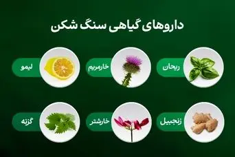 این گیاه ها قویترین داروهای سنگ شکن هستند