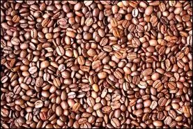 بازی فکری : اگه تیزبینی چشمات مثل خلبان های f35 هست تو 5 ثانیه چهره مخفی و پیدا کن!
