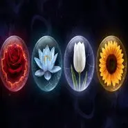 تست شخصیت‌ شناسی : با انتخاب یک گل بفهمید چقدر آسیب پذیر هستی!