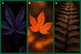 تست شخصیت شناسی: یک برگ انتخاب کن تا نیمه تاریک شخصیتی‌ات را بگویم!