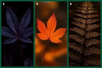 تست شخصیت شناسی: یک برگ انتخاب کن تا نیمه تاریک شخصیتی‌ات را بگویم!