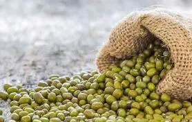 مصرف این دانه صنعت داروسازی جهان را ورشکست می کند