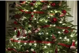 بازی فکری : باید دید خلبانی داشت باشی تا بتونی گربه پنهان درخت کریسمس و تو 5 ثانیه پیدا کنی!