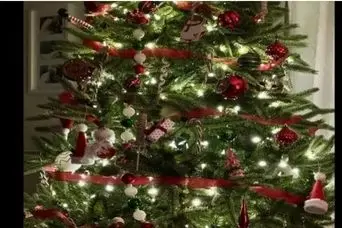 بازی فکری : باید دید خلبانی داشت باشی تا بتونی گربه پنهان درخت کریسمس و تو 5 ثانیه پیدا کنی!