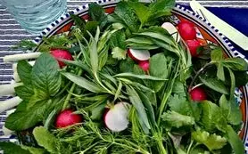 خواصی که در انواع سبزی خوردن هست و قطعا از آن اطلاع ندارید