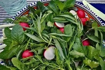 آموزش کاشت سبزی خوردن در خانه