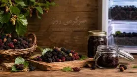 ترفند مامان بزرگی: روش نگهداری شاتوت برای طولانی مدت در فریزر