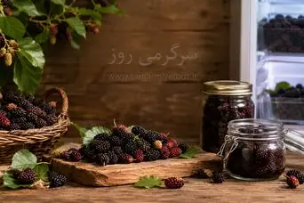 ترفند مامان بزرگی: روش نگهداری شاتوت برای طولانی مدت در فریزر