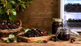 ترفند مامان بزرگی: روش نگهداری شاتوت برای طولانی مدت در فریزر