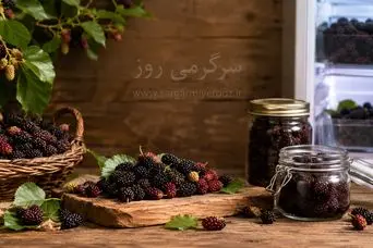 ترفند مامان بزرگی: روش نگهداری شاتوت برای طولانی مدت در فریزر